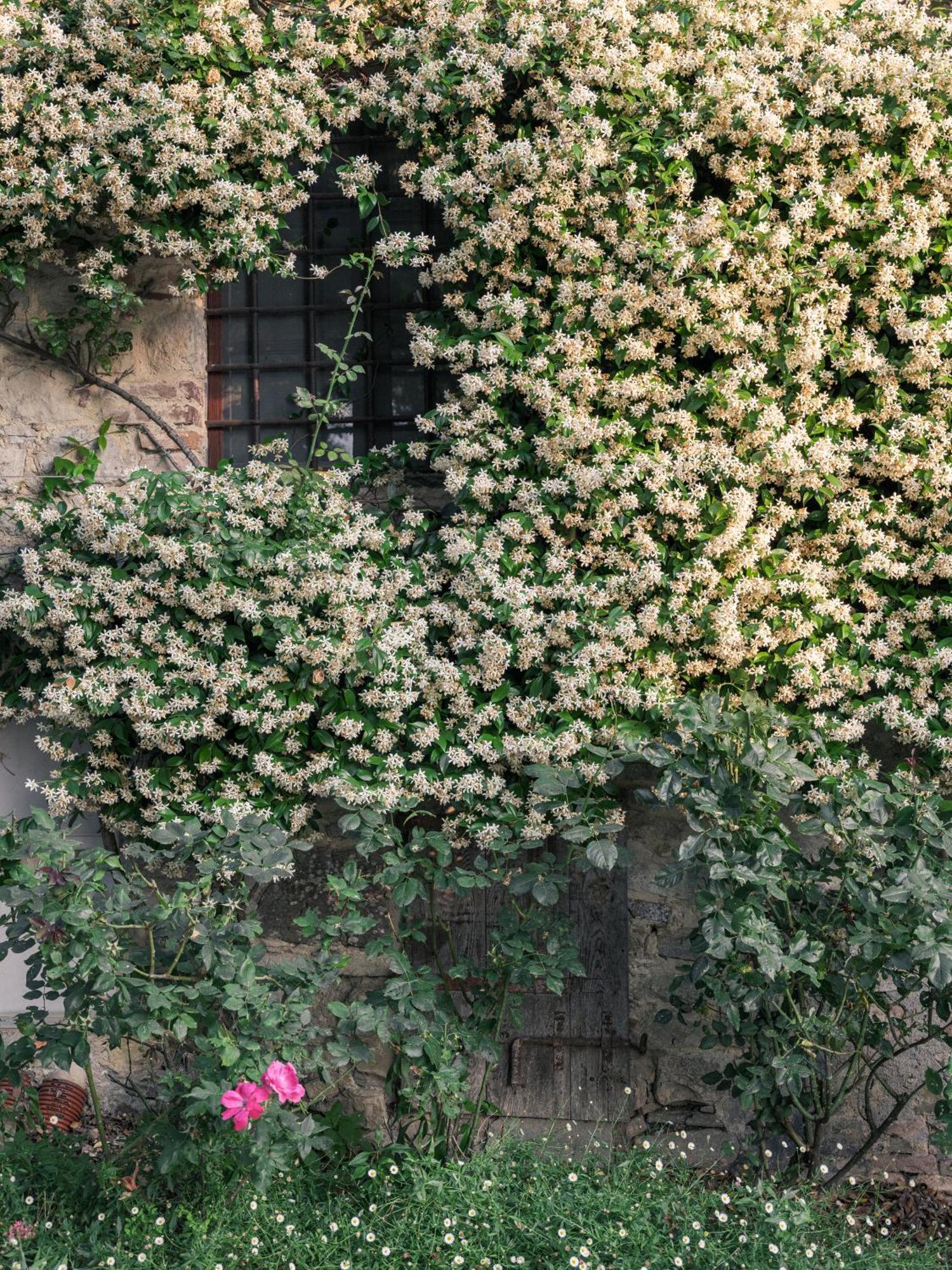 Gasthaus Pieve Marsina & Borgo Argenina Monti di Sotto Exterior foto